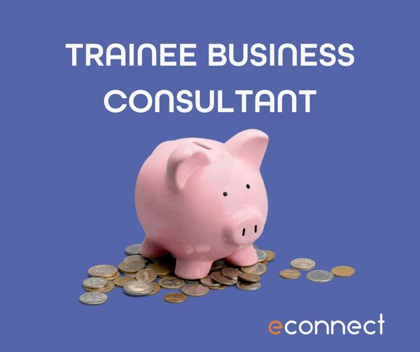 https://cdn.econnect.eu/media/trainee-business-consultant.jpg