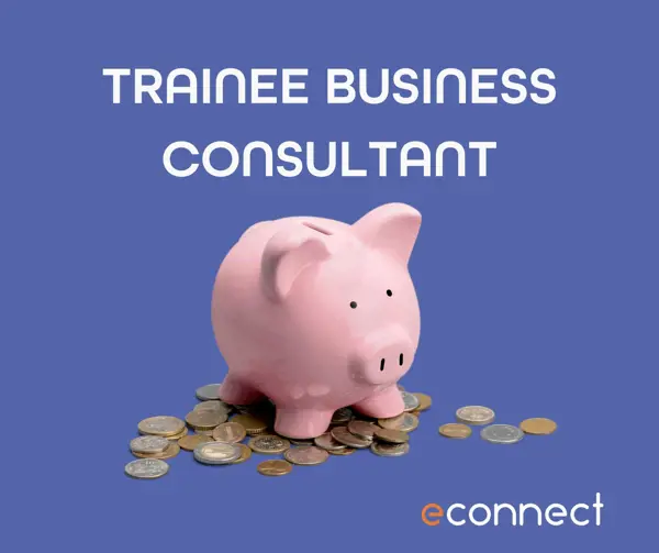 https://cdn.econnect.eu/media/trainee-business-consultant.jpg